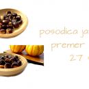 POSODA JAVOR 2; premer 17 cm; 27 €