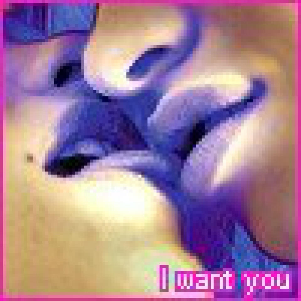 Pondelk - foto povečava