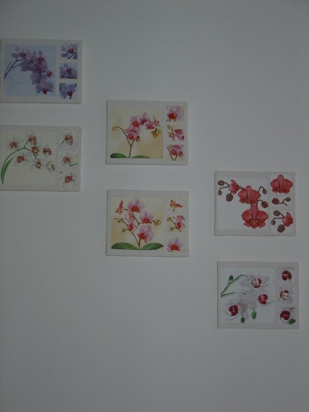 Moje orhideje končno visijo na steni