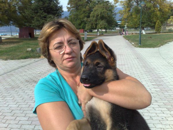 Zinet in dexi