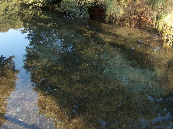 Ohrid - foto