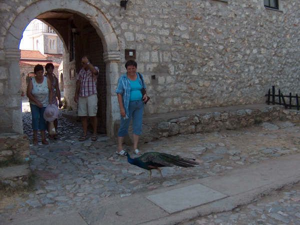 Ohrid - foto