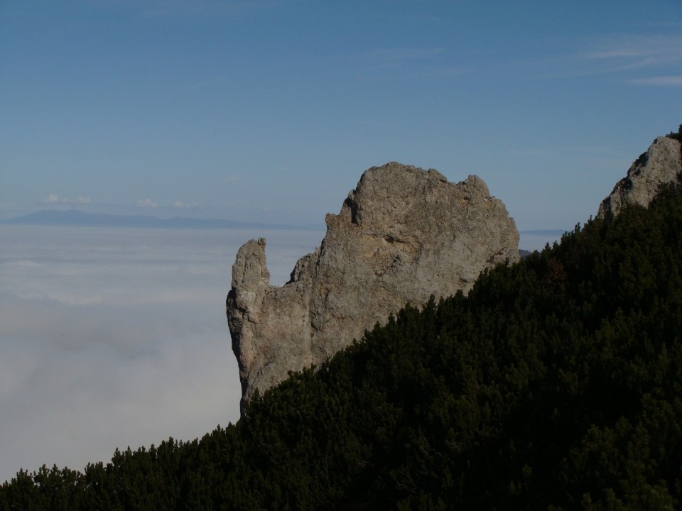 Olševa 25.10.2008 - foto povečava