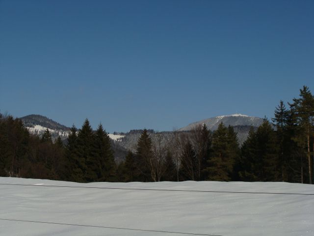 Topolšica-Lom 884m, 21.2.2010 - foto