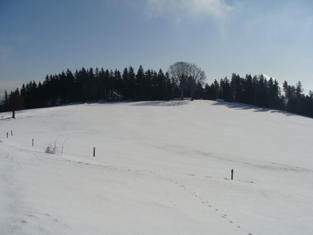 Topolšica-Lom 884m, 21.2.2010 - foto