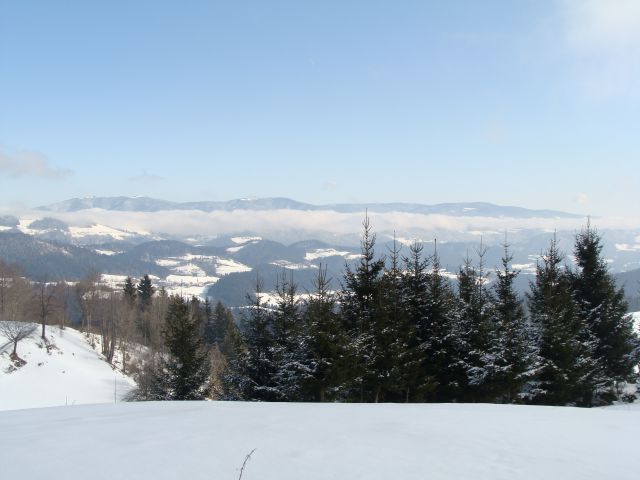 Topolšica-Lom 884m, 21.2.2010 - foto