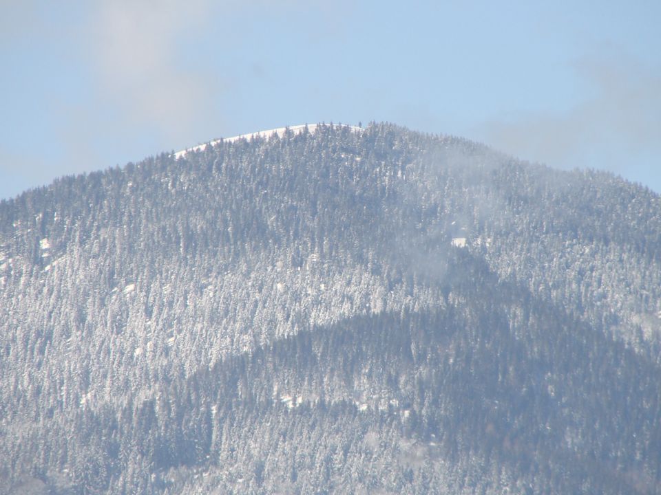 Topolšica-Lom 884m, 21.2.2010 - foto povečava