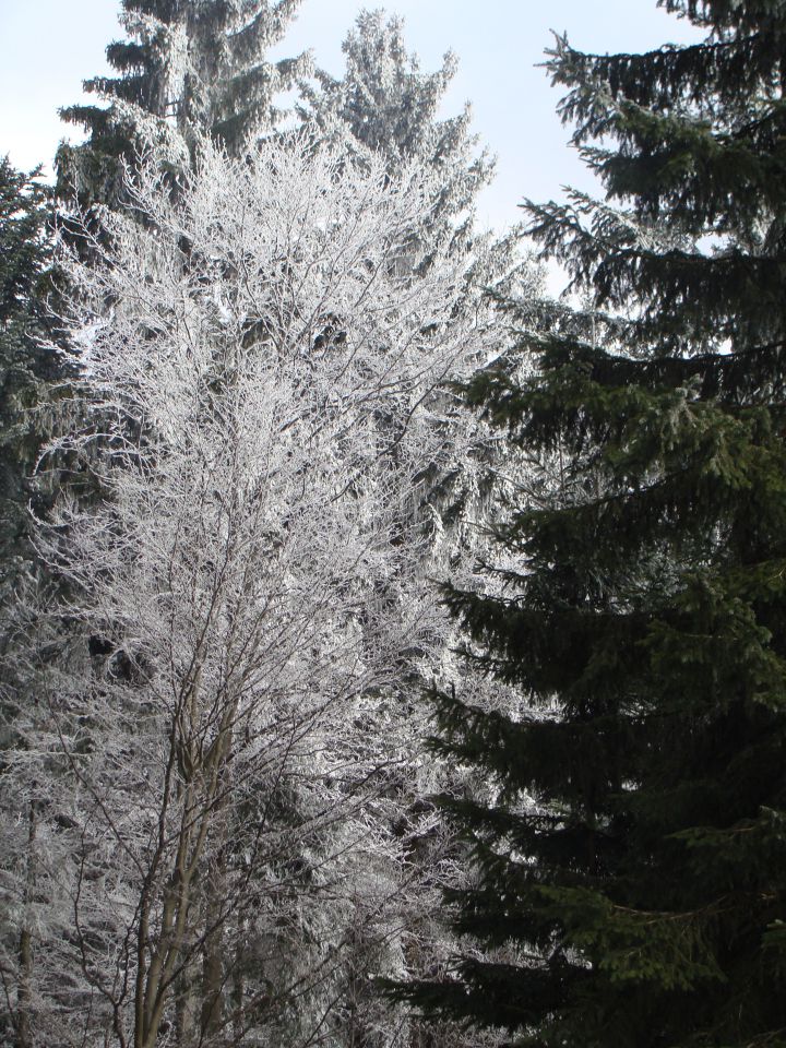 Uršlja gora 29.12.2010 - foto povečava