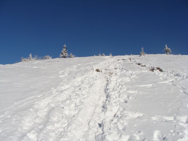 Smrekovec, 23.1.2011 - foto