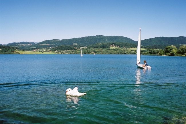Velenjsko jezero 2006 - foto povečava