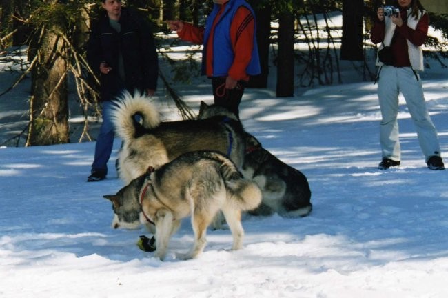 Areh (Mariborsko Pohorje) - 19.03.2006 - foto povečava