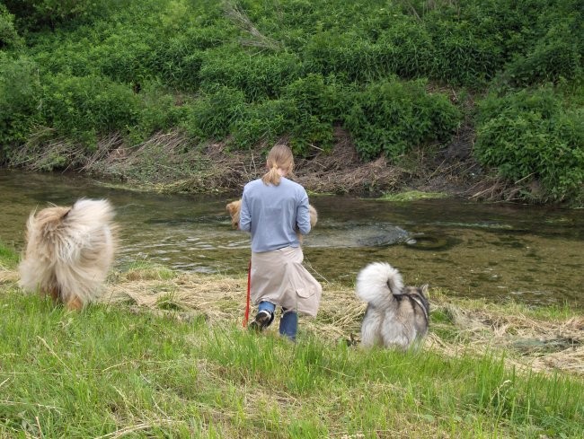 Aska, Witty in Val - sprehod - Borovnica 27.5 - foto povečava