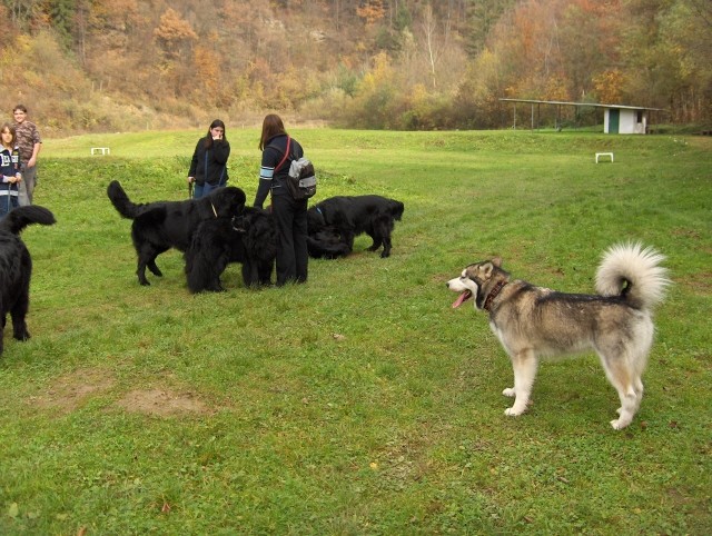 5.pesjanarsko srečanje - 29.10.2006 - foto povečava