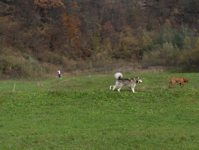 5.pesjanarsko srečanje - 29.10.2006 - foto povečava