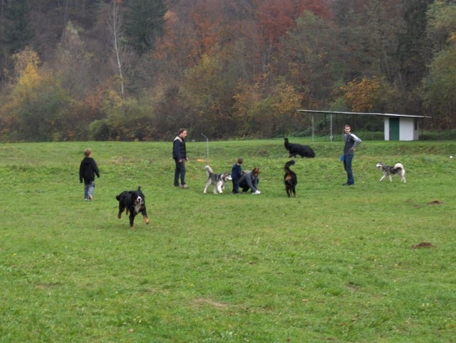 5.pesjanarsko srečanje - 29.10.2006 - foto povečava