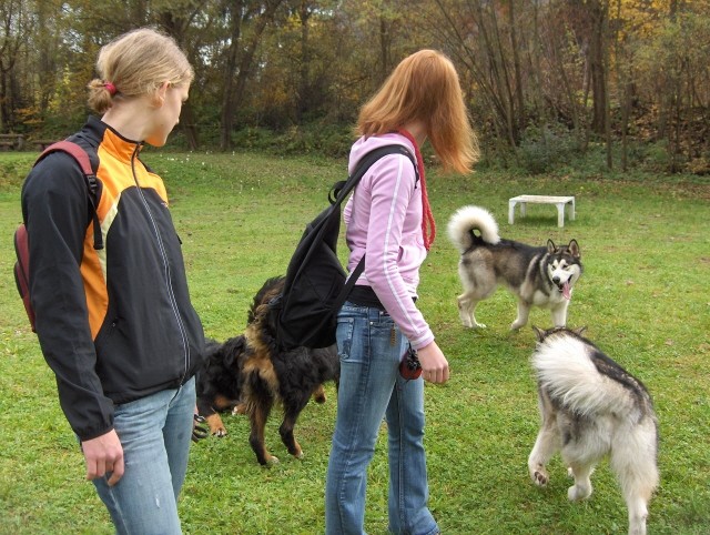 5.pesjanarsko srečanje - 29.10.2006 - foto povečava