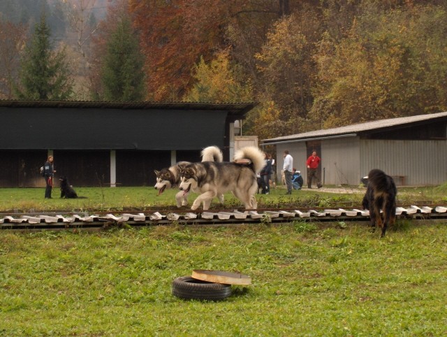 5.pesjanarsko srečanje - 29.10.2006 - foto povečava