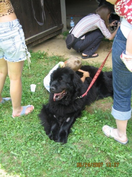 6. pesjanarsko srečanje - Kranj - 24.6.2007 - foto