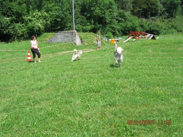 6. pesjanarsko srečanje - Kranj - 24.6.2007 - foto povečava