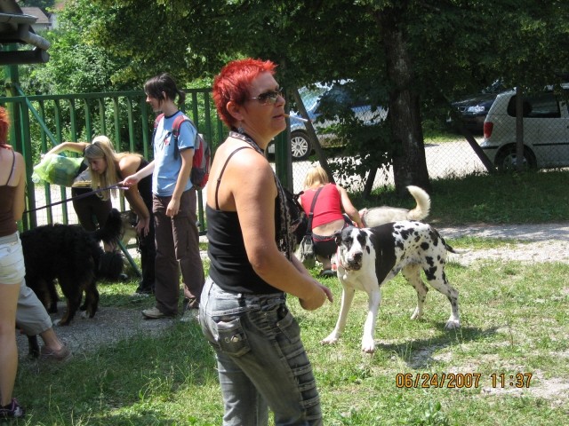 6. pesjanarsko srečanje - Kranj - 24.6.2007 - foto povečava