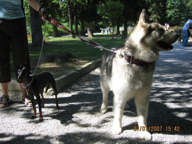 ZOO - Aska in Tara - 1.7.2007 - foto povečava