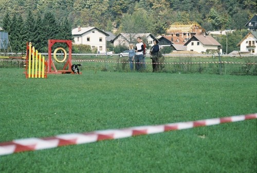 Agility tekma - KD Naklo - 13.10.2007 - foto povečava