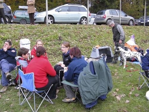 Dobrodelna agility tekma za Selce - 27.10.200 - foto povečava