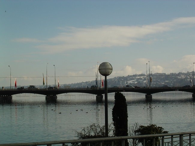 Ženeva 2005-Rockson-Grlica - foto povečava