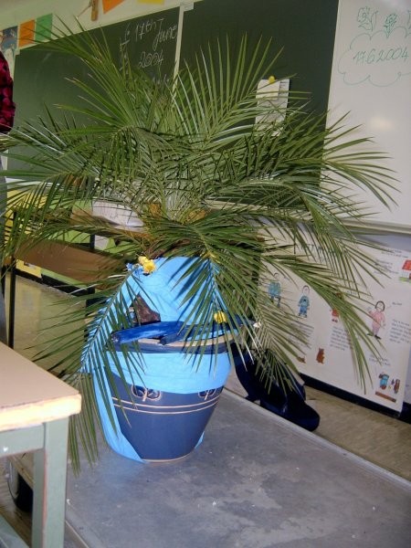 Zadnji dan pouka... 2004 - foto povečava