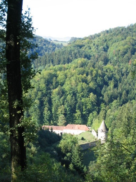 Izlet v žičko kartuzijo - foto povečava