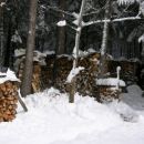 Pravi pohorc ima drva za dve leti naprej