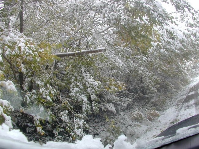 Zima - oktober 2003 - foto povečava