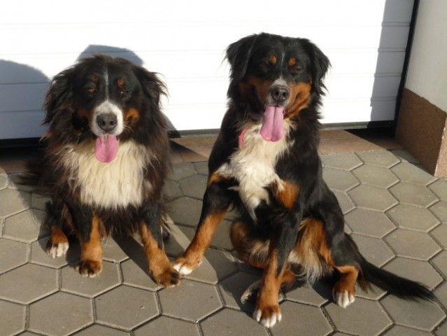 Melly & Ruby, februar 2008 - foto