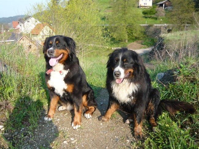 Melly in Ruby,april 2008 - foto povečava