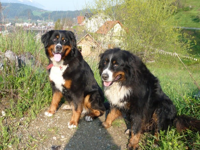 Melly in Ruby,april 2008 - foto povečava