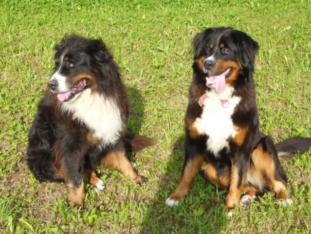 Melly in Ruby, julij 2008 - foto