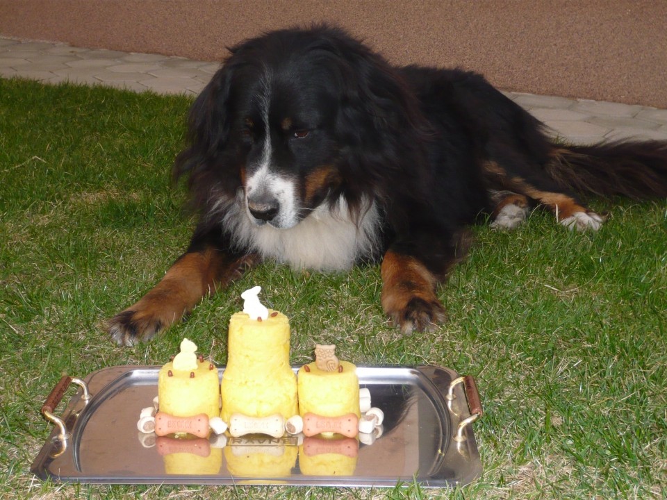 Melly, 9. rojstni dan - foto povečava