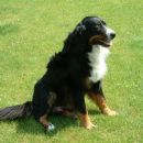 Melly 25.5.2003