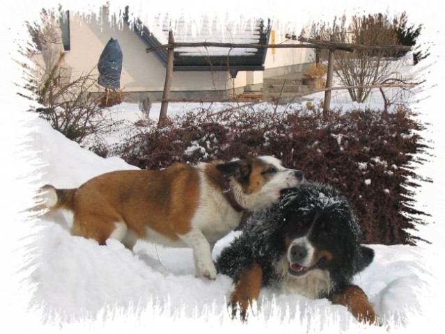 Melly in Ika: igranje na snegu