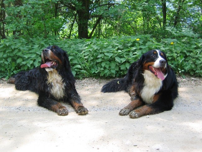 Polbratec in polsestrica: Lucky & Reny