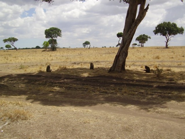 Kenija2006 - foto