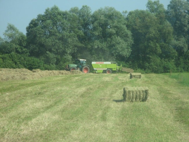 BALIRANJE - foto povečava