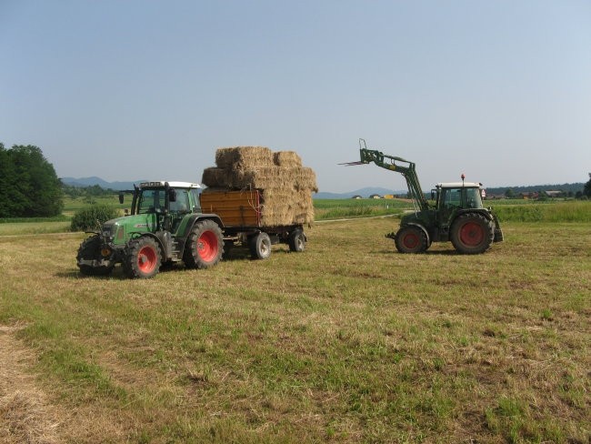 BALIRANJE - foto povečava