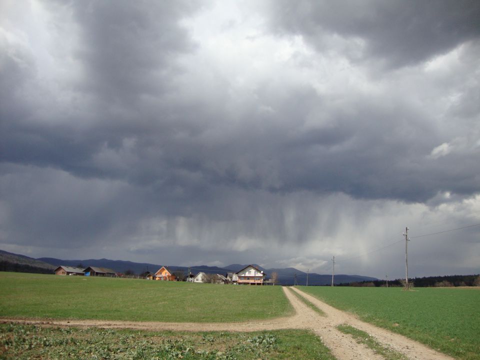 Oranje 2010 - foto povečava