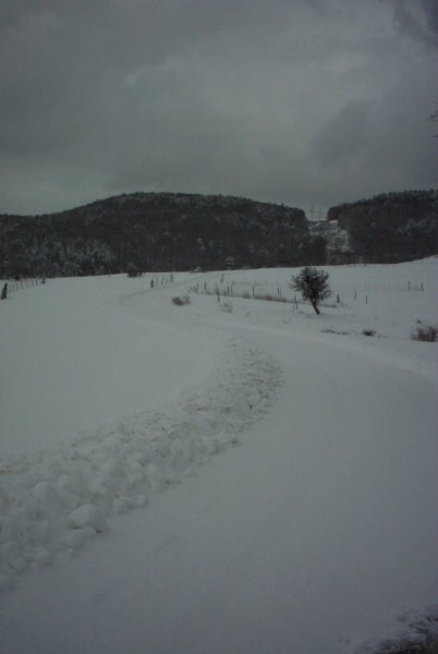 MOJE SLIKE - foto povečava