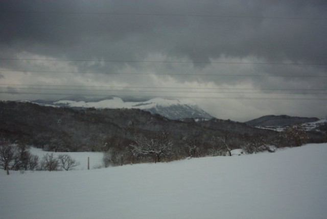 MOJE SLIKE - foto