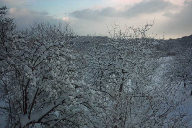 MOJE SLIKE - foto povečava