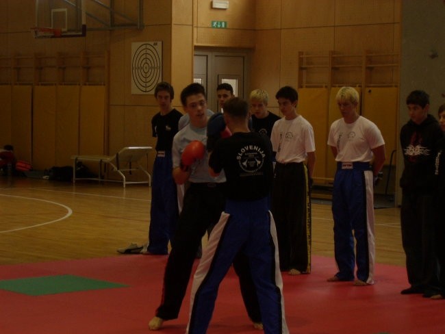 DP v Kickboxu, Trzic, 1.4.2006 - foto povečava