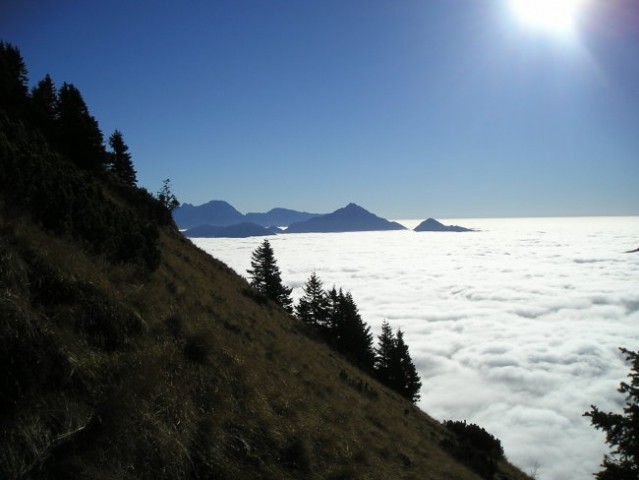 Roblek, Begunjščica - foto