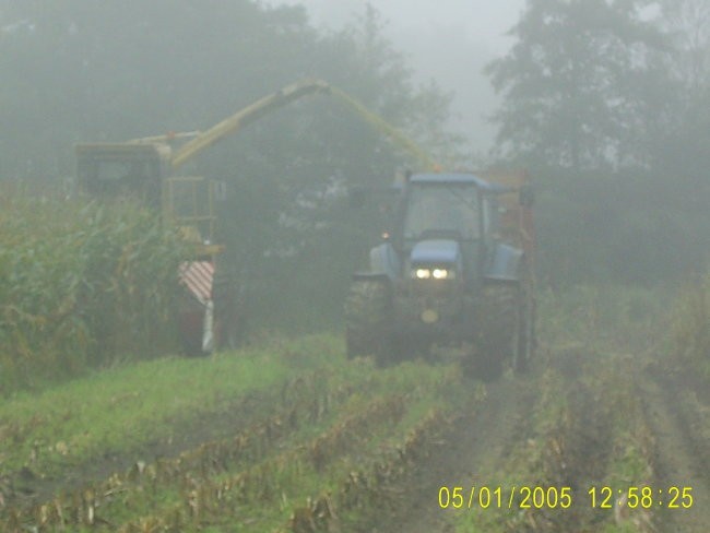 Silaža 2005 - foto povečava